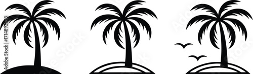 Palm Tree Silhouette Design for Tropical Artwork. Elegant Palm Tree Silhouette Illustration. Minimalist Palm Tree Silhouette Artwork. Palm Tree Silhouette for Beach Projects. Exotic Palm Tree