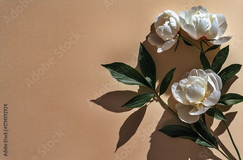 Beautiful White Peonies on Soft Beige Background With Green Leaves Casting Ge...