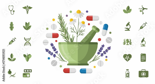 Medicine and pharmacy explore natural medicine herbal remedies and holistic health treatment for wellness and alternative therapy vector