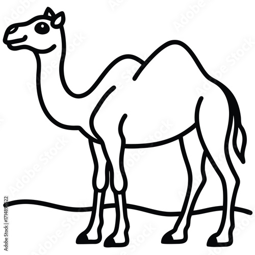 Collection of desert camel animal illustrations and graphic elements in various poses and styles
