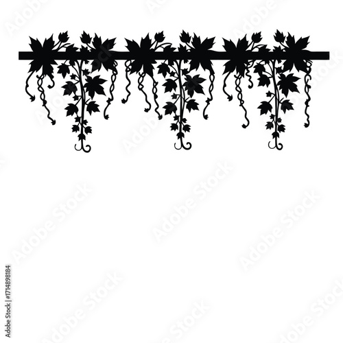 Black silhouette of hanging grapevines with leaves