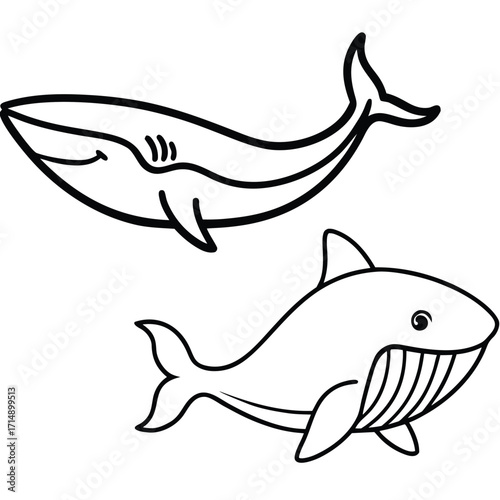 Collection of stylized marine animals featuring sharks and whales in a vibrant color palette