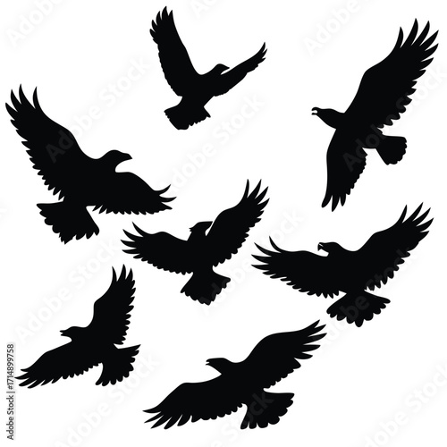 Majestic eagle in flight silhouette collection featuring dynamic wings and powerful stance