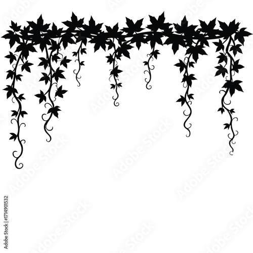 Black silhouette of hanging ivy vines with leaves plant