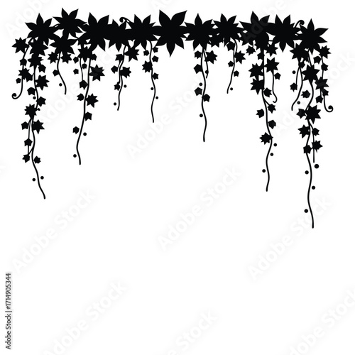 Black silhouette of hanging ivy vines with leaves vector
