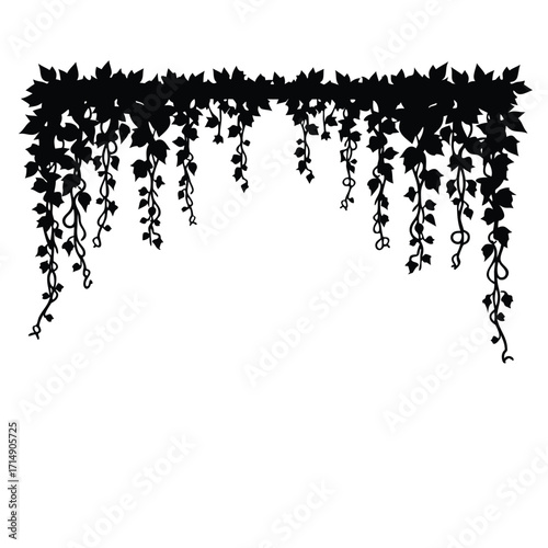 Black silhouette of hanging ivy vines with leaves vector