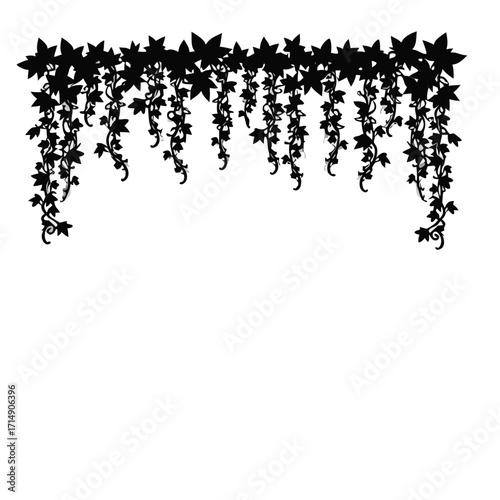 Black silhouette of hanging ivy vines with leaves vector