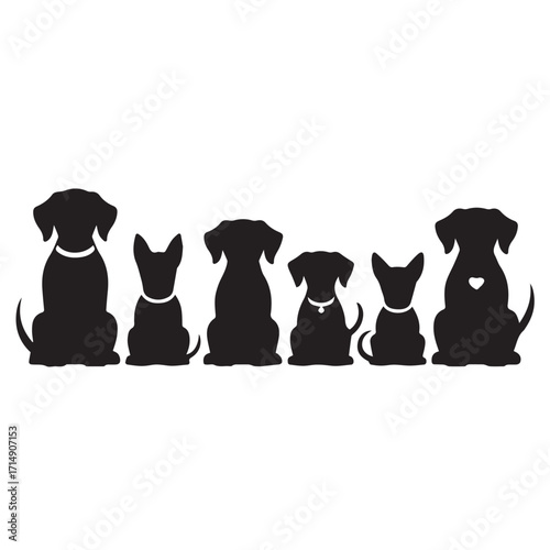 Black Dogs and Shadows on a Wall