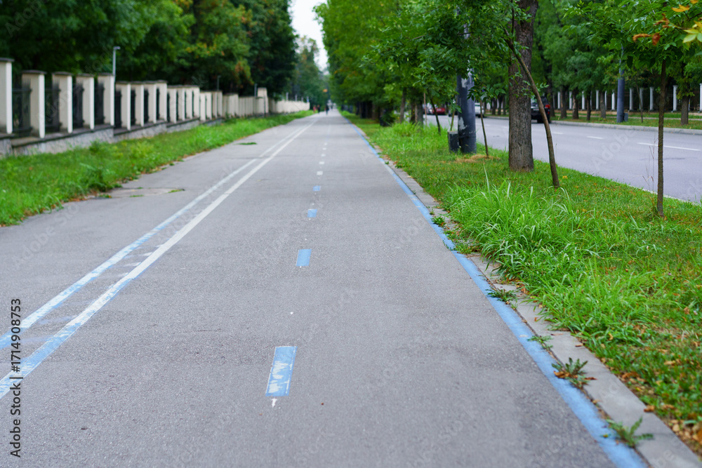 Obraz premium Smooth asphalt path along a tree-lined avenue perfect for walking and cycling in a peaceful urban setting