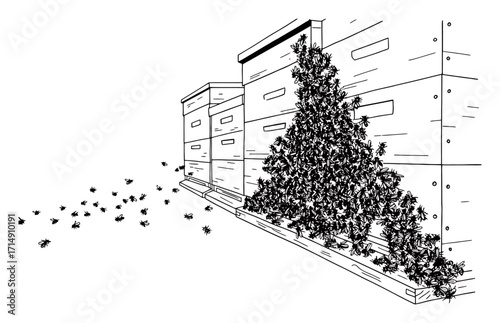 Bees Swarming Hive Frames - Minimalist Vector