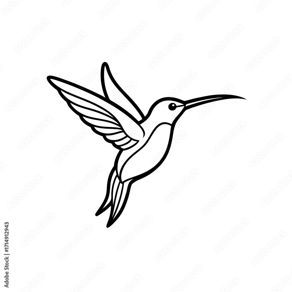 Obraz premium hummingbird in flight line art 