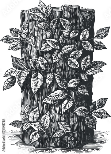 A hand-drawn illustration of a tree stump with lush greenery and detailed leaves.