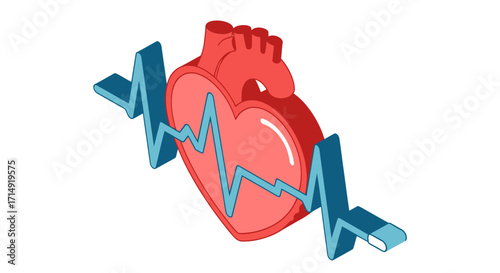 Red Isometric Human Heart and Blue ECG Heartbeat Wave.