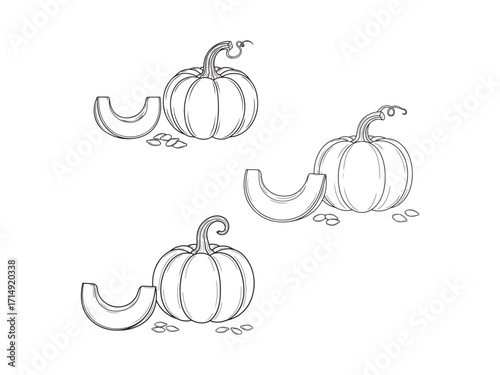 Three Pumpkin Arrangements Featuring Sliced Gourds and Seeds in an Elegant Black and White Line Drawing