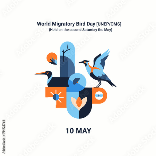World Migratory Bird Day Celebrating Our Feathered Friends Across the Globe