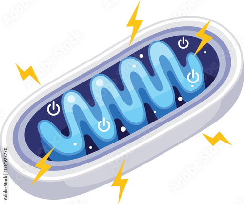 Dynamic illustration of a vibrant mitochondrion cell, the powerhouse of life, generating energy with sparking electrical bolts and power symbols.