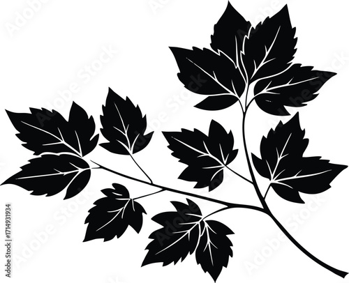 Autumn Leaves on Branch Silhouette Illustration | Autumn Leaves Vector Design