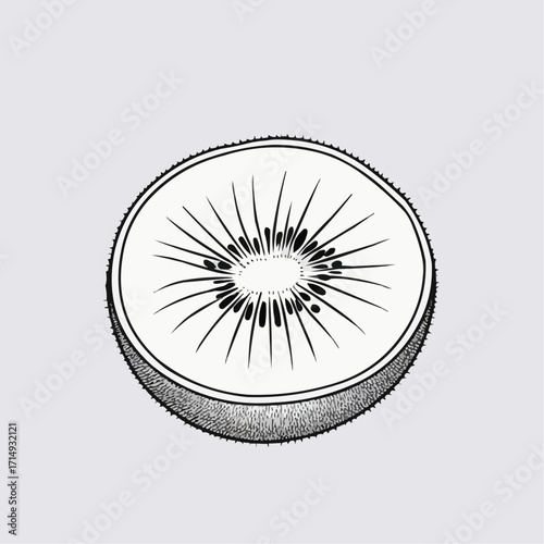 Sliced kiwi fruit on light background in detailed illustration style  