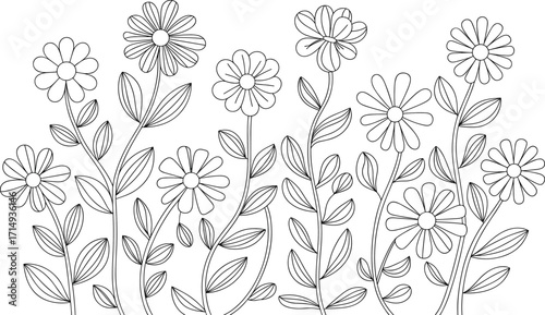 Hand drawn black and white daisy flowers line art illustration pattern perfect for coloring books, digital design projects