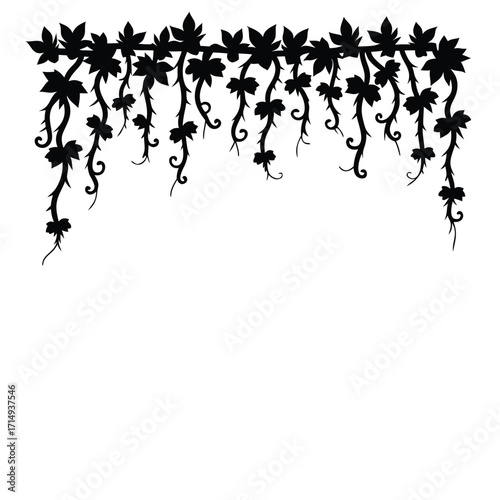 Black silhouette of hanging ivy vine with leaves plant