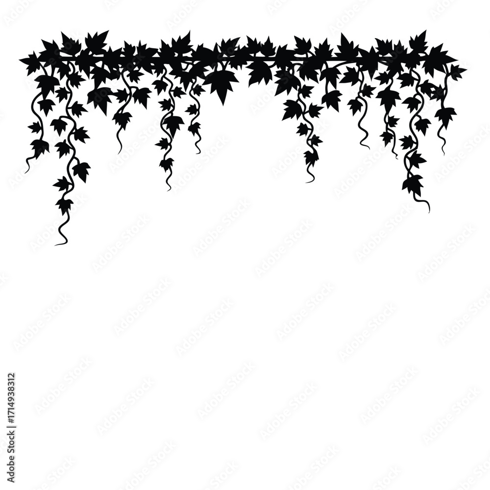 Naklejka premium Black silhouette of hanging ivy vine with leaves vector