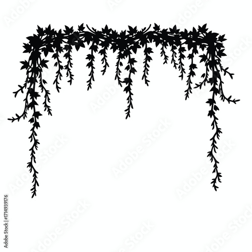 Black silhouette of hanging ivy vines with leaves foliage