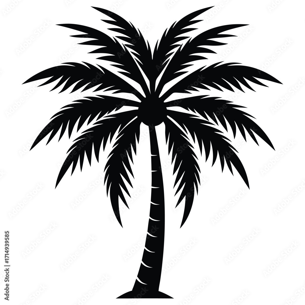 Obraz premium palm tree vector icon on white background