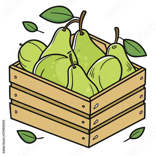 Green pears with leaves are piled high inside of the rustic wooden crate