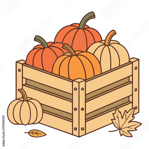Orange and cream pumpkins sit inside the wooden crate near fallen leaf, isolated