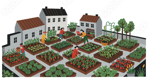 Community urban garden with people harvesting vegetables in a flat design