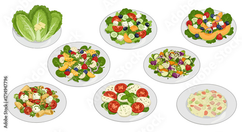 Display of seven salad varieties romaine tomato mozzarella and a fruitbased salad