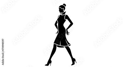 Elegant Silhouette of a Woman in a Stylish Dress.