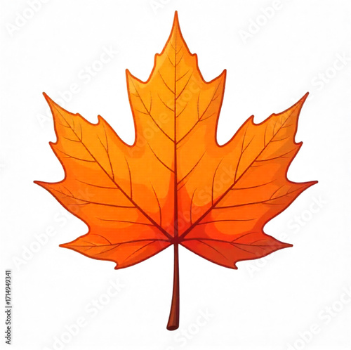 autumn maple leaf
