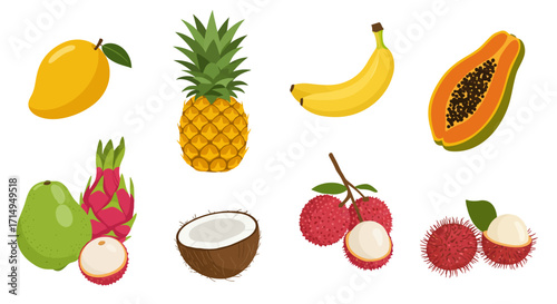 Tropical fruit mango pineapple banana papaya guava dragonfruit coconut lychee and rambutan