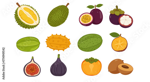 Twelve assorted exotic fruits are arranged in a grid format