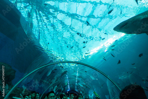 Views of the Singapore Oceanarium