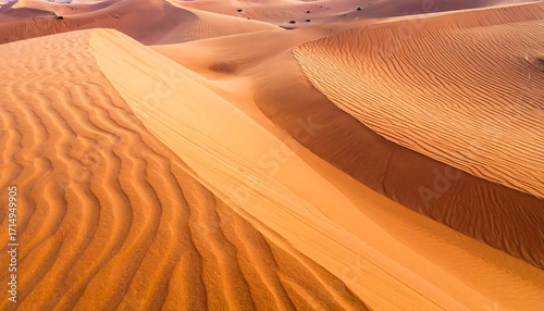 Fototapeta Naklejka Na Ścianę i Meble -  Desert Dune Textures Arid Landscape Patterns