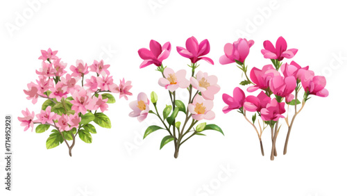 Beautiful pink floral arrangement vector illustration for spring flower designs and backgrounds use