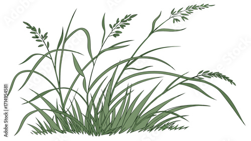 Illustration of green grass field with blades and stems for nature and landscaping design elements
