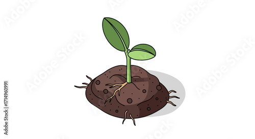 A small green plant seedling sprouting from a mound of dark brown soil.