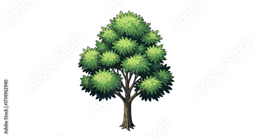 Lush Green Tree with Dense Foliage and Textured Bark.