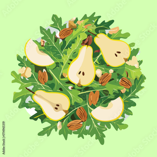 A fresh and light arugula salad with sweet pear slices, crumbled nuts, and a light dressing - Vector Illustration
