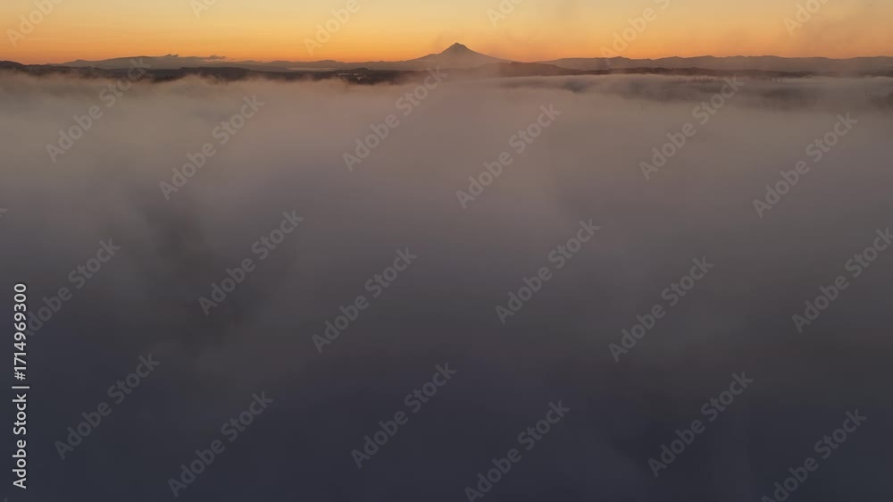 Dawn illuminates fog drifting through the forests found throughout the Willamette Valley in Oregon. The entire Pacific Northwest region is known for its vast forests and moist, temperate weather.