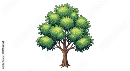 A stylized illustration of a lush green deciduous tree with a full rounded canopy and a thick brown trunk.