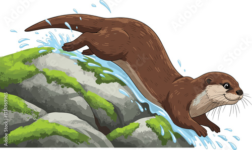 Otter, sliding, rock, water, splash, moss, animal, nature, motion, playful, cartoon, illustration, wildlife, stream, dynamic