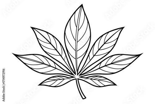 a-line-art-vector-illustration-of-leaf-with-balanc.eps