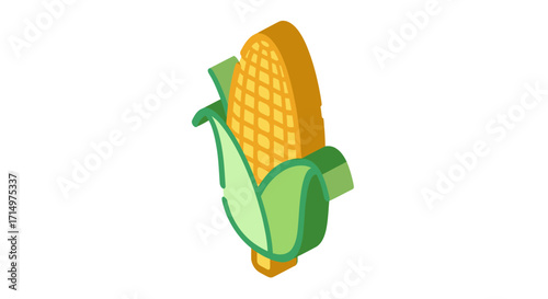 Isometric illustration of a fresh ear of corn with green husks.