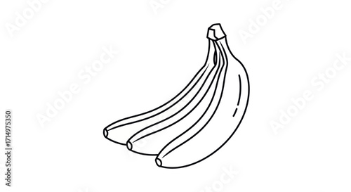 Hand-drawn illustration of a bunch of bananas.