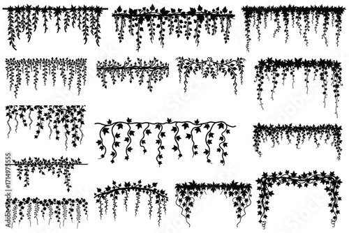 Black silhouette vine and leaf borders and frames leaves