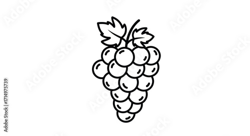 Simple Black Line Drawing of a Bunch of Grapes.